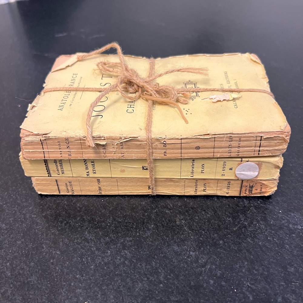 Antique set of 3 Antique French paper books